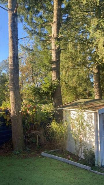 Boutique Chalet Veluwe Путен Екстериор снимка